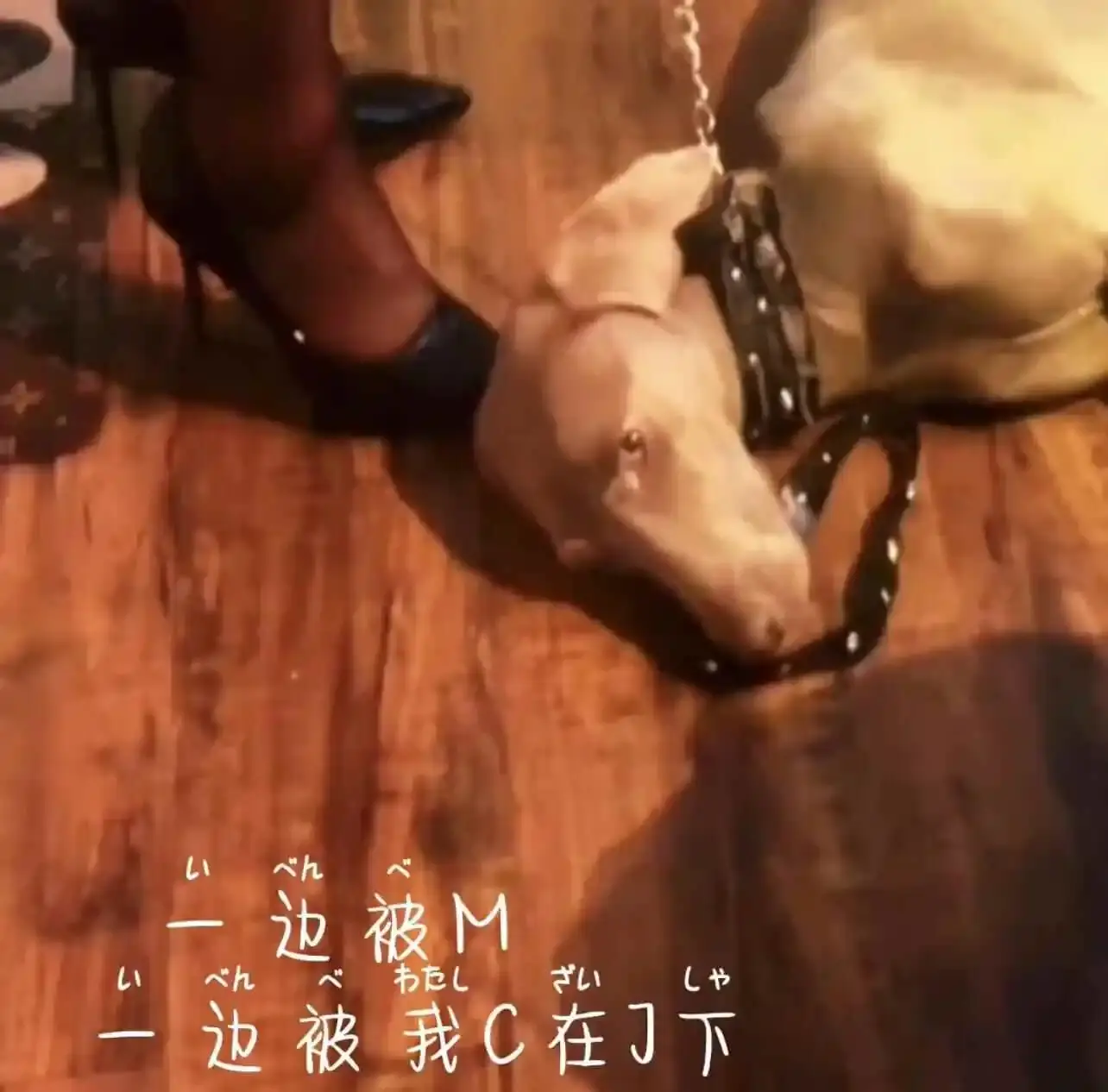 西檬之家-TK是什么？字母圈新人入圈