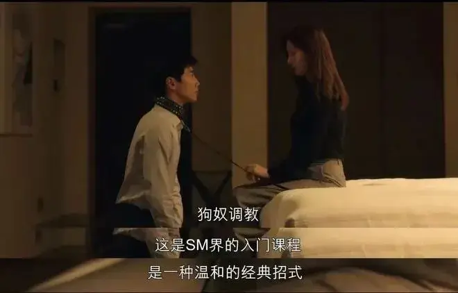 【西檬之家】- 字母圈新人入圈指南：核心术语与安全实践