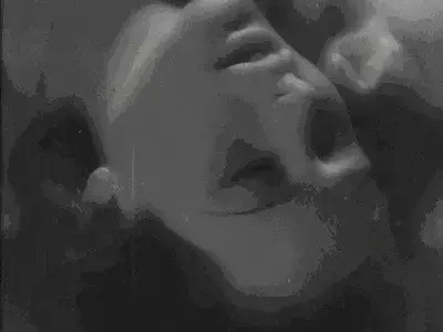 西檬之家-M字圈新人必知术语大全与安全实践指南