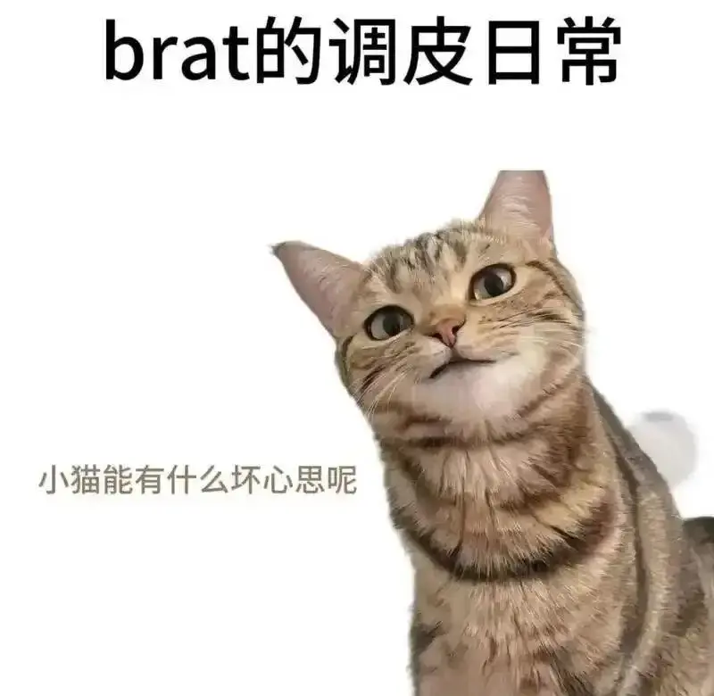 【西檬之家】字母圈新人如何入圈？BDSM入门权威指南