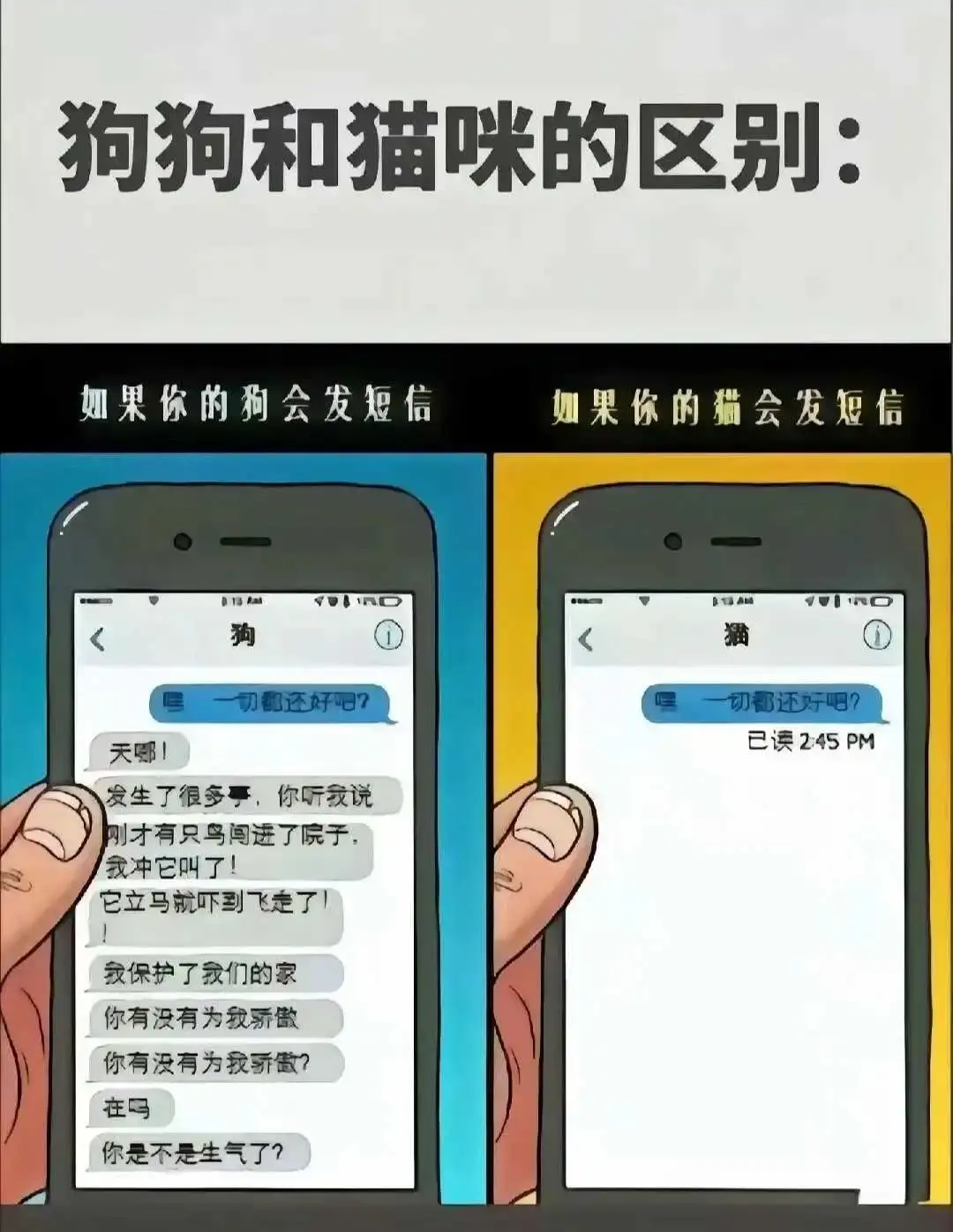 [西檬之家]字母圈的Sp实践指南