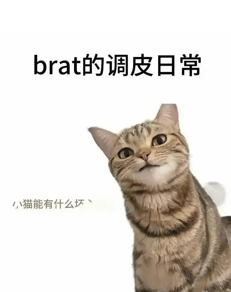 践踏癖 - 2025-11-13 192048