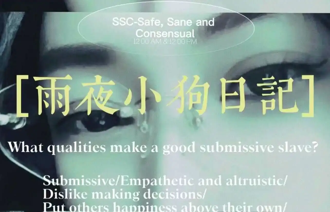PE - 微信图片_20240708154450