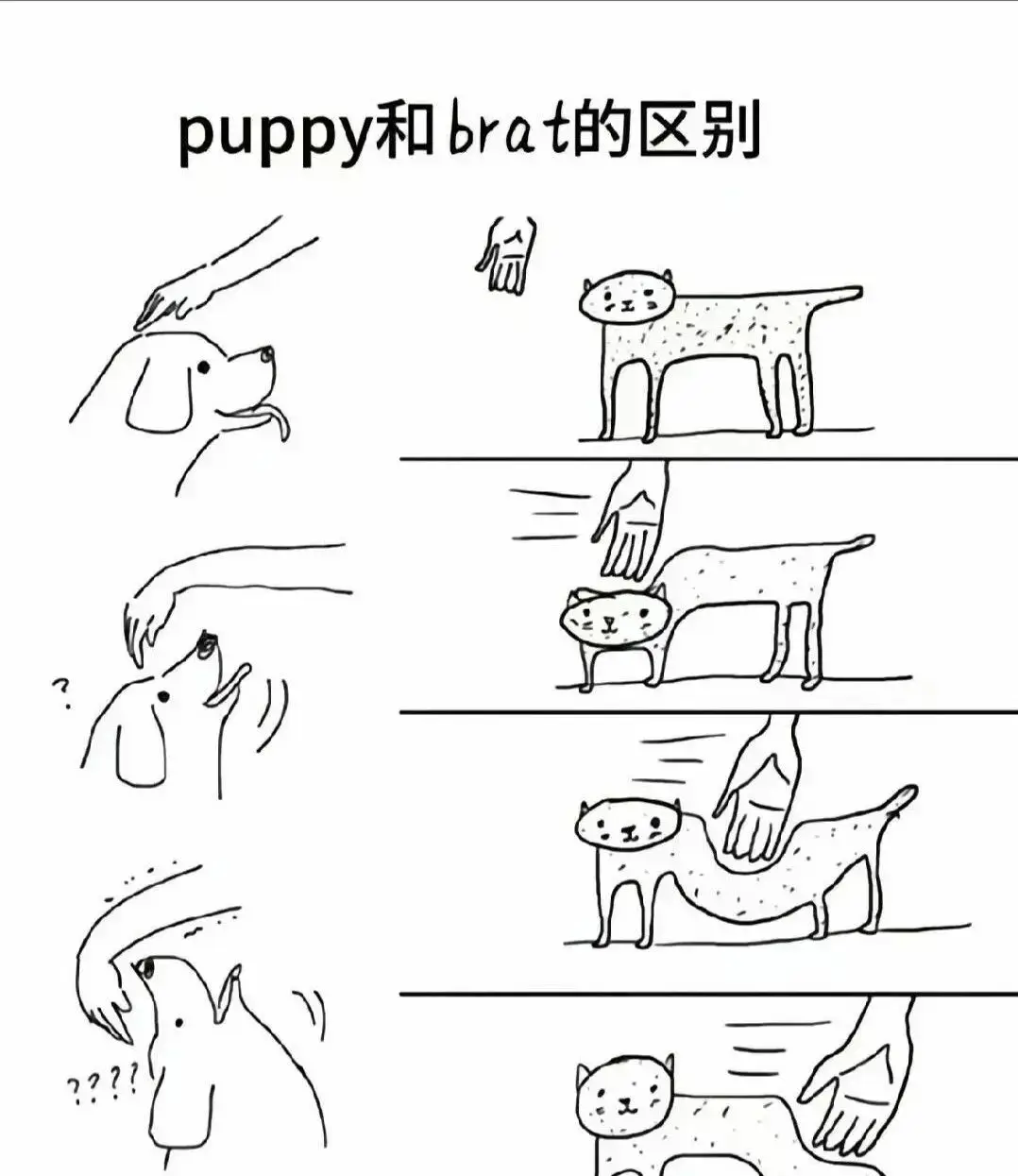Sub是什么 - 微信图片_2025-11-13_180940_765