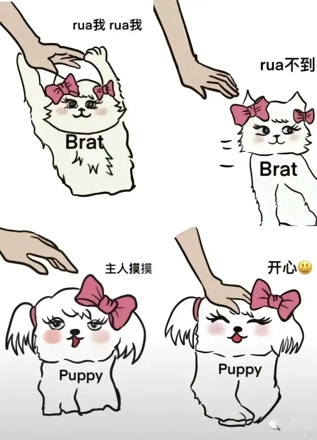 西檬之家-K8猫系是什么？字母圈中猫系角色扮演指南